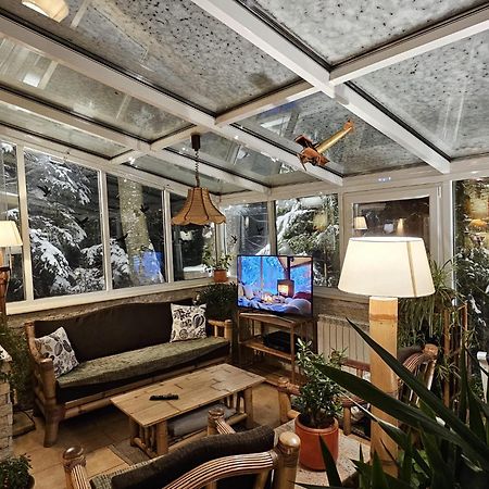 Boutique Hotel Forest Retreat (Adults Only) Buşteni Eksteriør billede