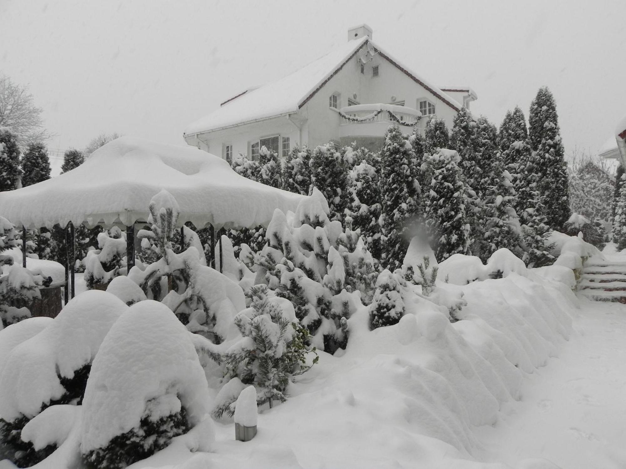 Boutique Hotel Forest Retreat (Adults Only) Buşteni Eksteriør billede