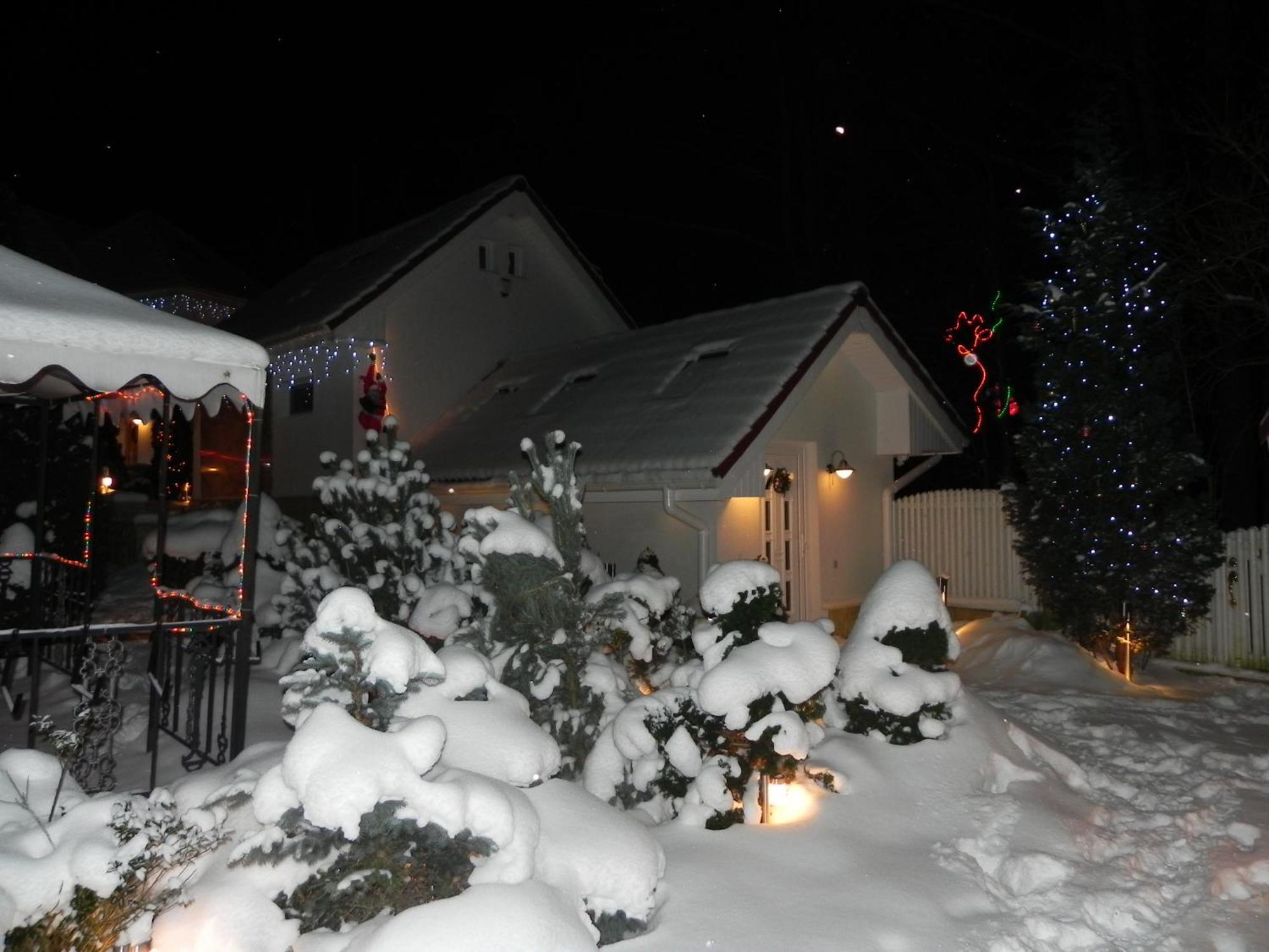 Boutique Hotel Forest Retreat (Adults Only) Buşteni Eksteriør billede