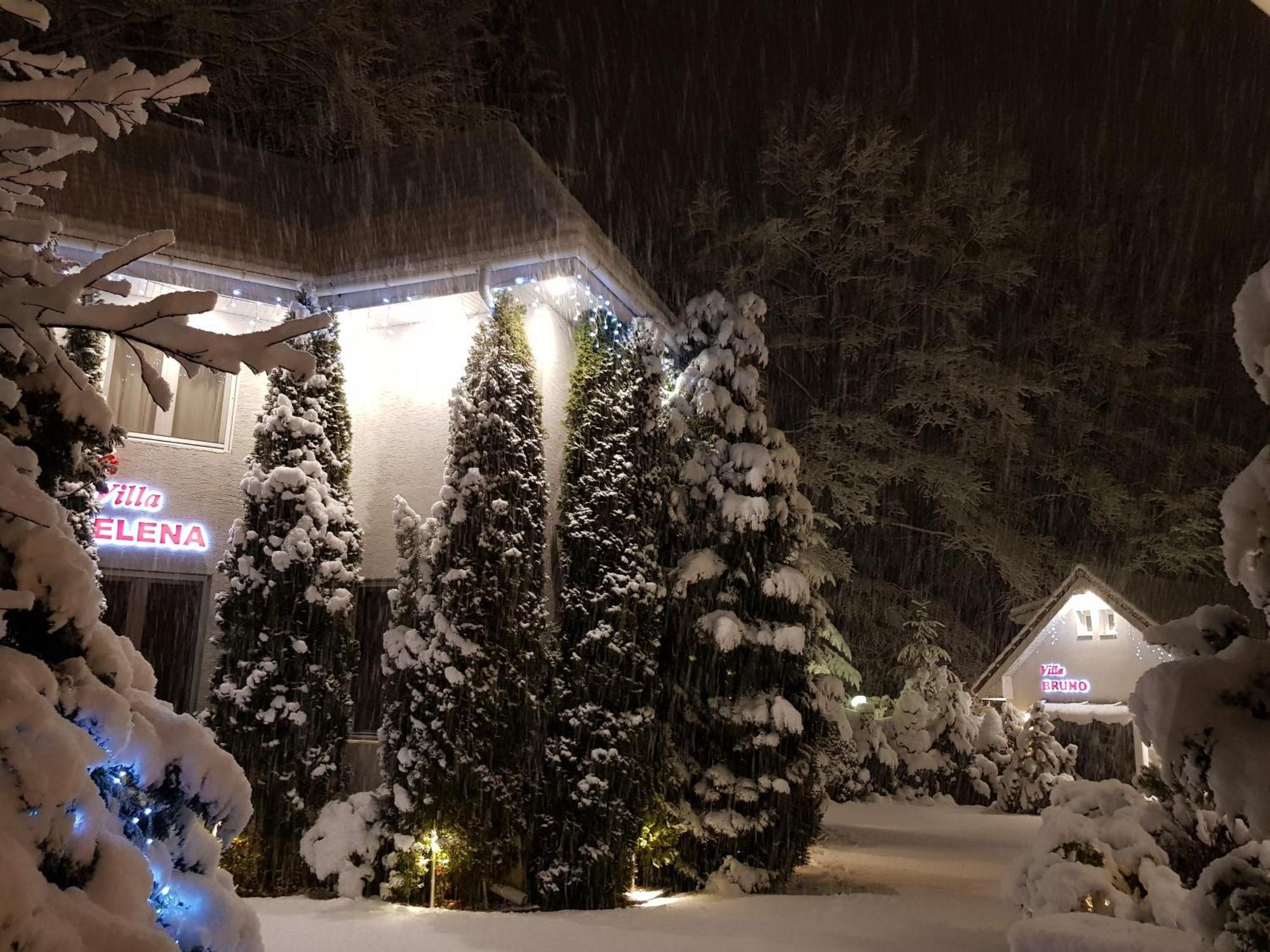 Boutique Hotel Forest Retreat (Adults Only) Buşteni Eksteriør billede
