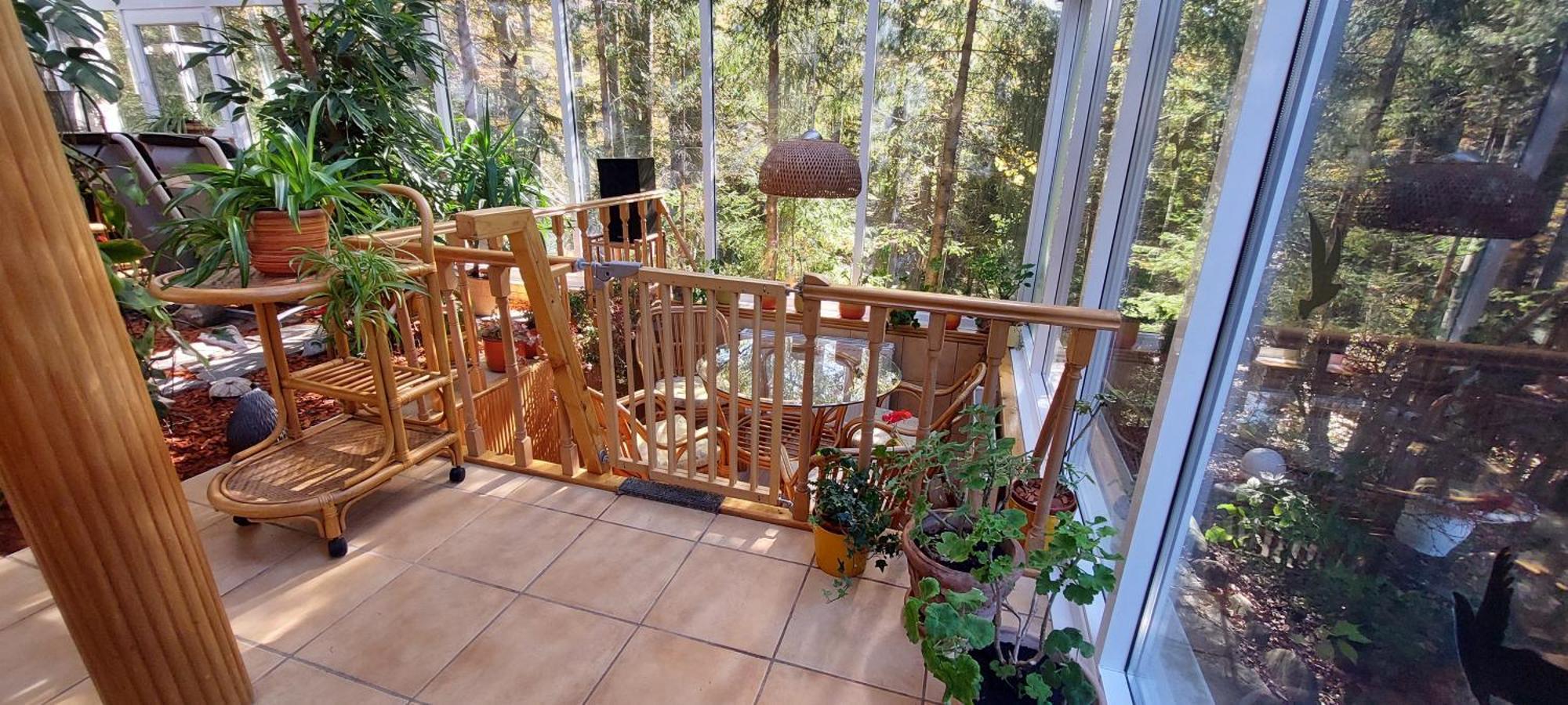 Boutique Hotel Forest Retreat (Adults Only) Buşteni Eksteriør billede
