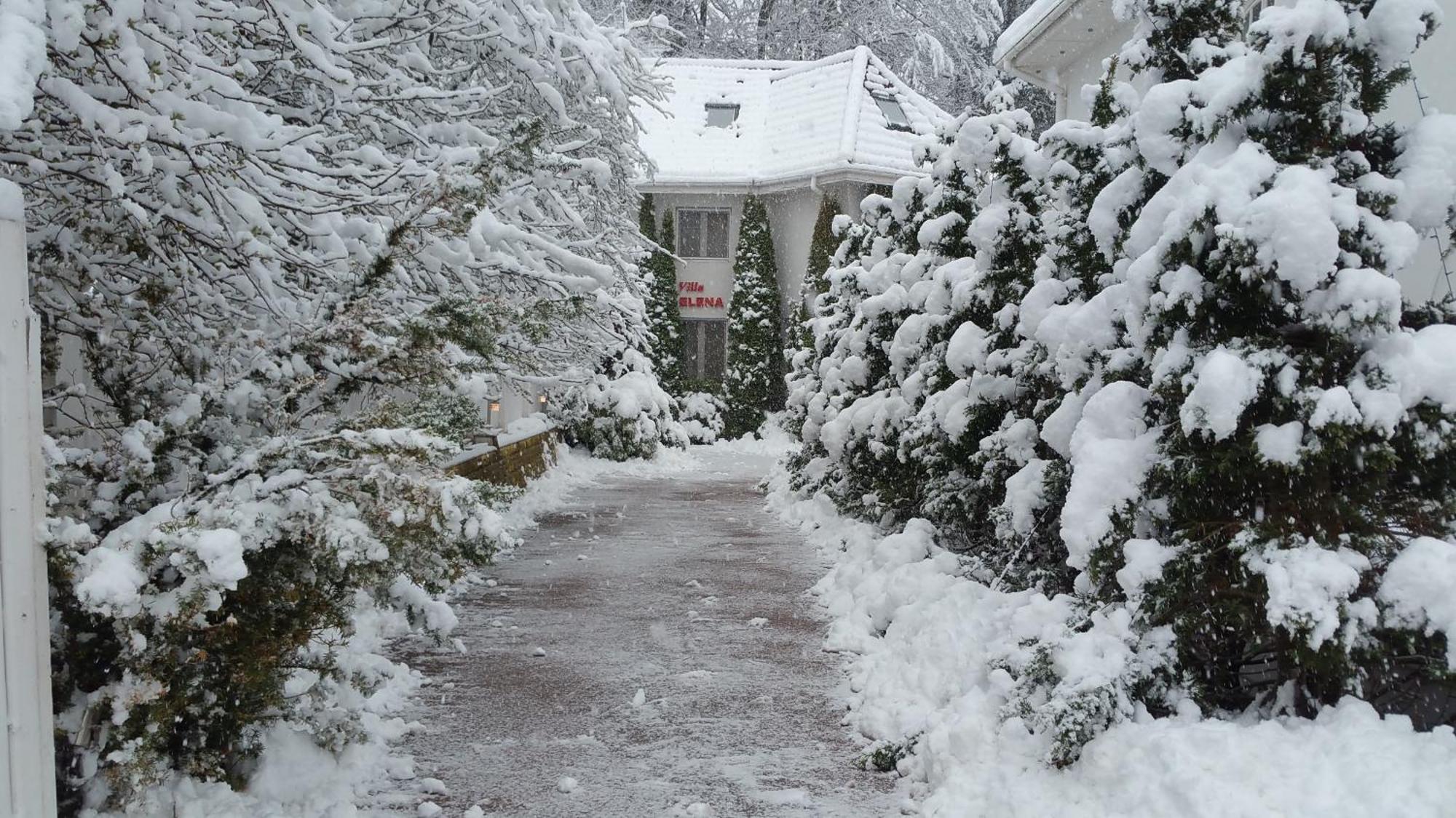 Boutique Hotel Forest Retreat (Adults Only) Buşteni Eksteriør billede