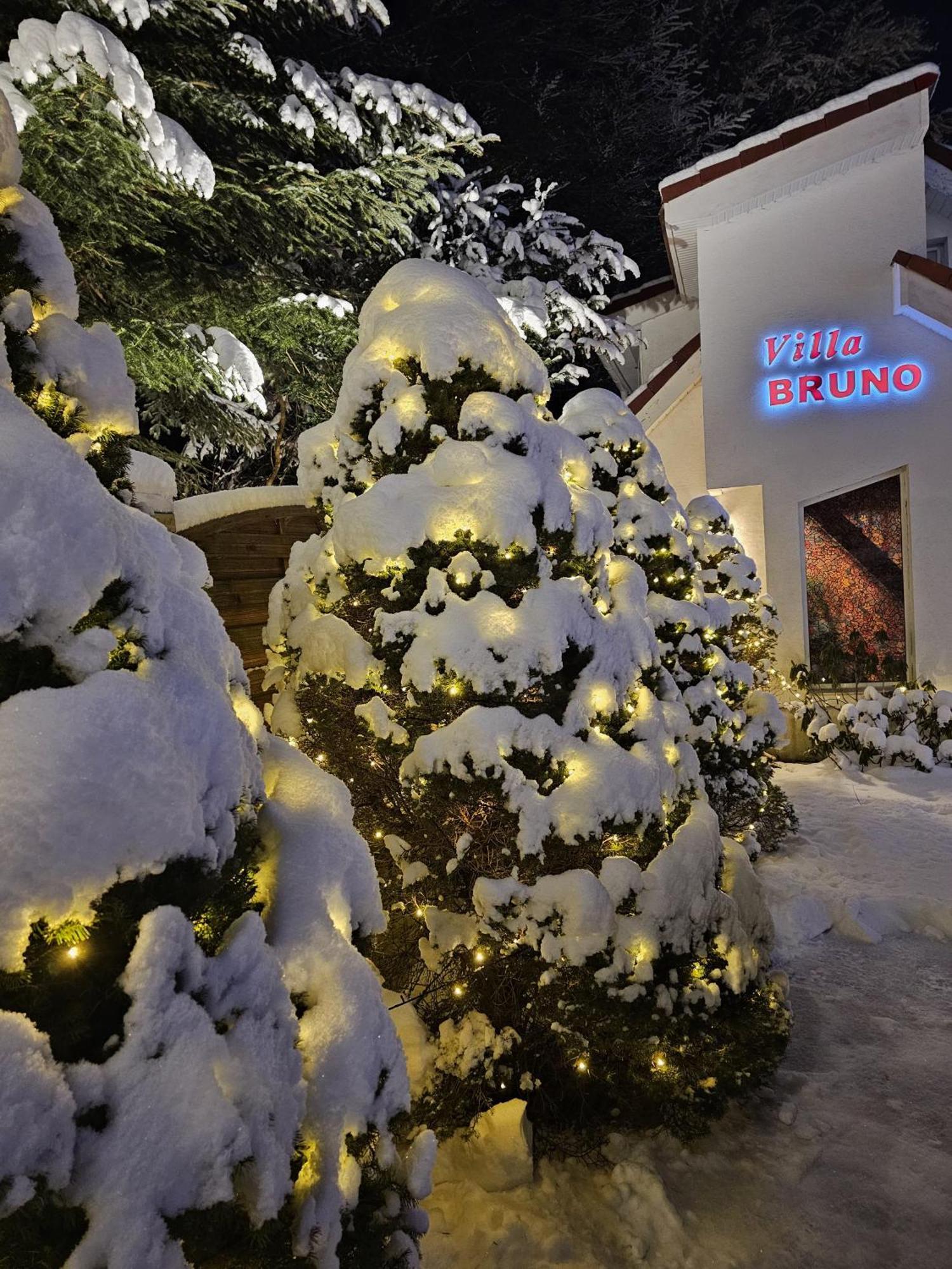 Boutique Hotel Forest Retreat (Adults Only) Buşteni Eksteriør billede
