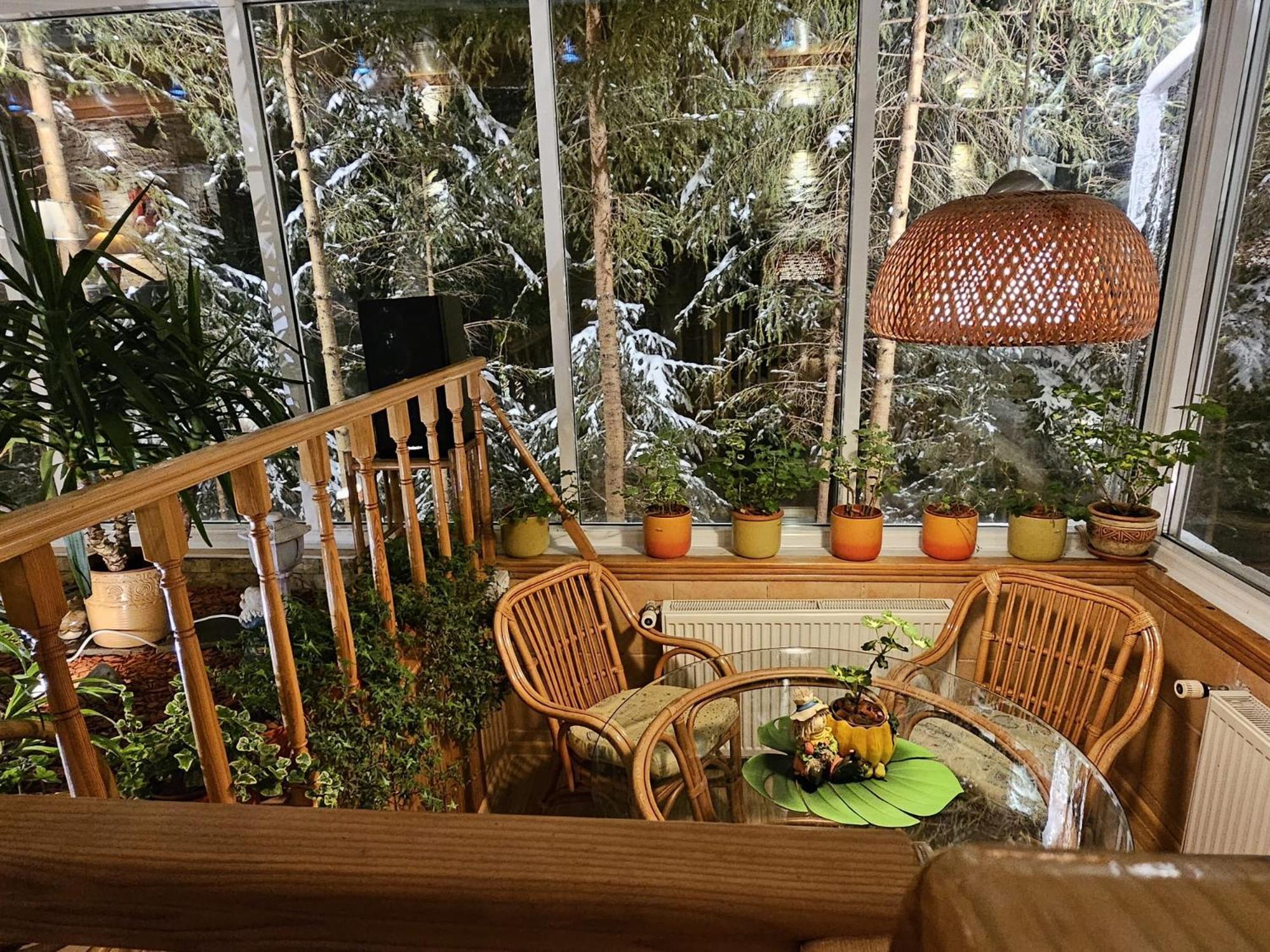 Boutique Hotel Forest Retreat (Adults Only) Buşteni Eksteriør billede