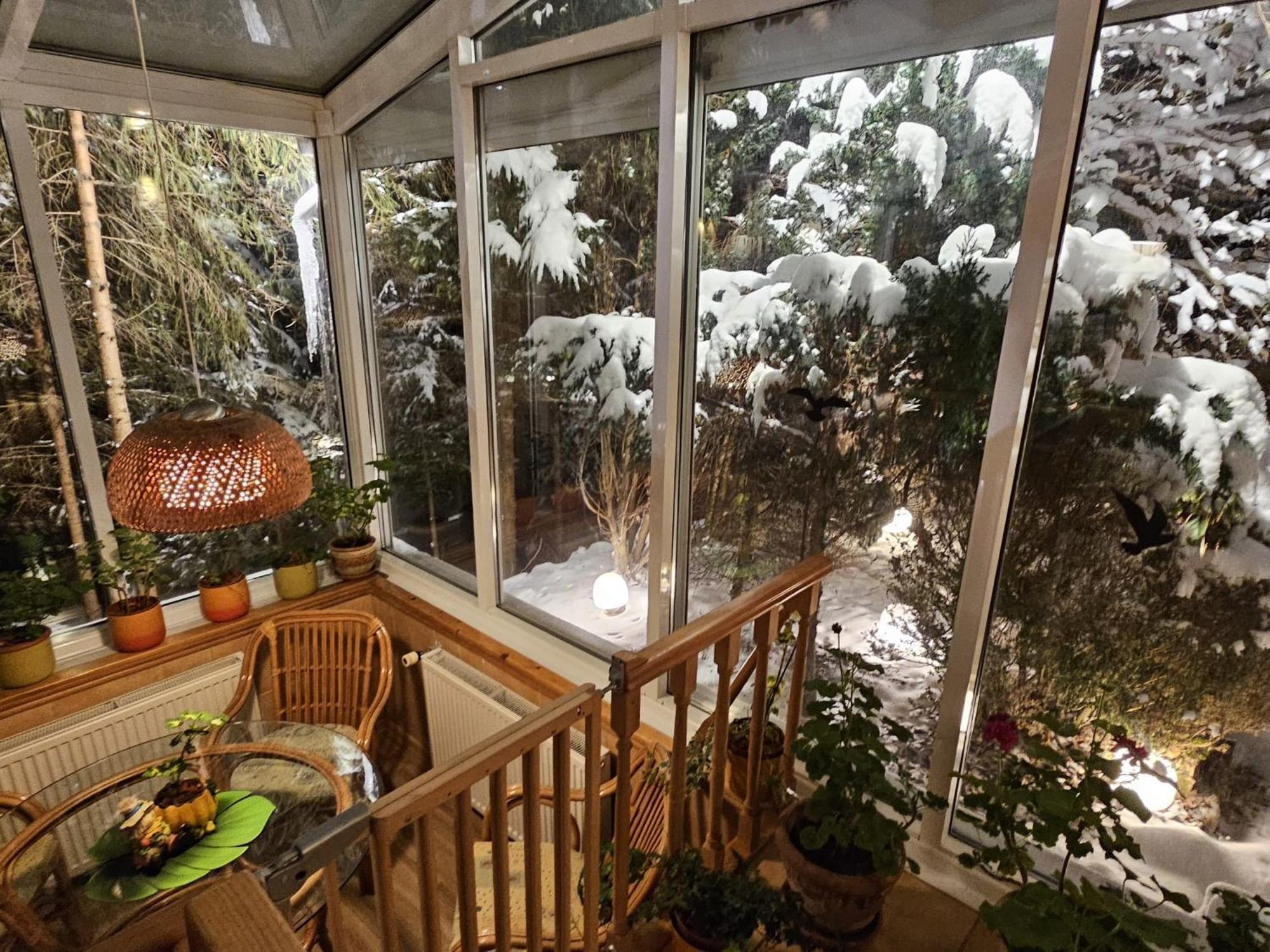 Boutique Hotel Forest Retreat (Adults Only) Buşteni Eksteriør billede